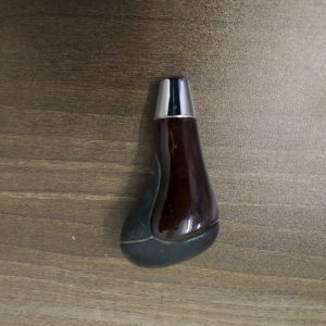 Gear shift module holder w220